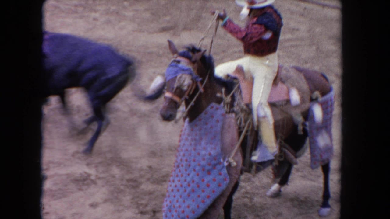 Horse rider in costume near a black bull in a dusty arena.
