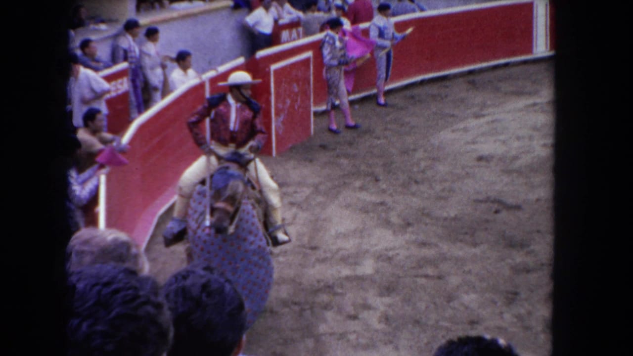 Mounted rider in a bullring near red barriers with spectators watching from the stands.