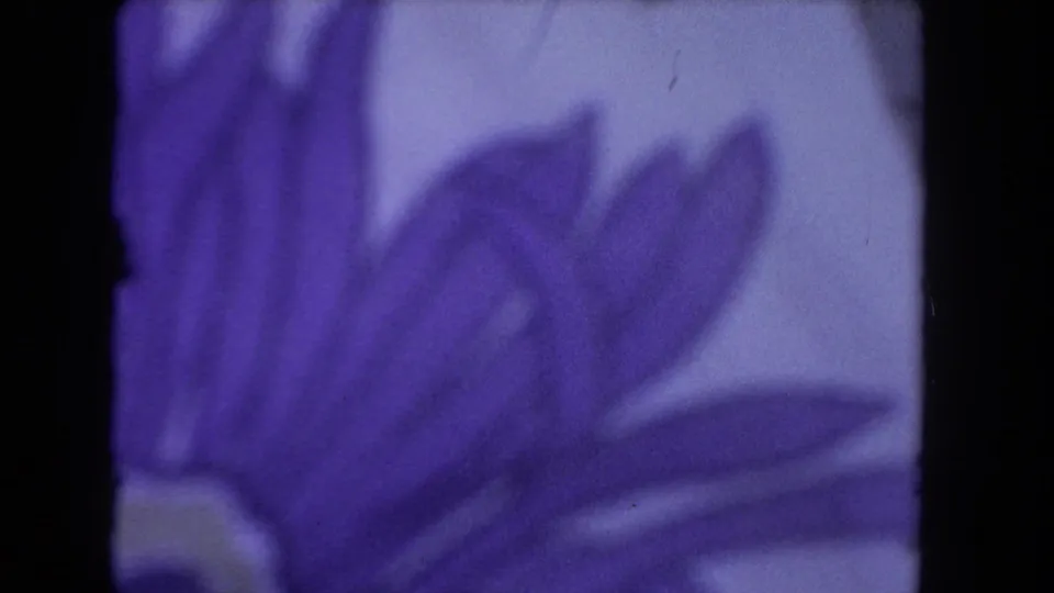 Soft, out-of-focus purple floral pattern at the end of the 8mm clip, likely a transition or adjacent home-movie subject rather than the arena action.