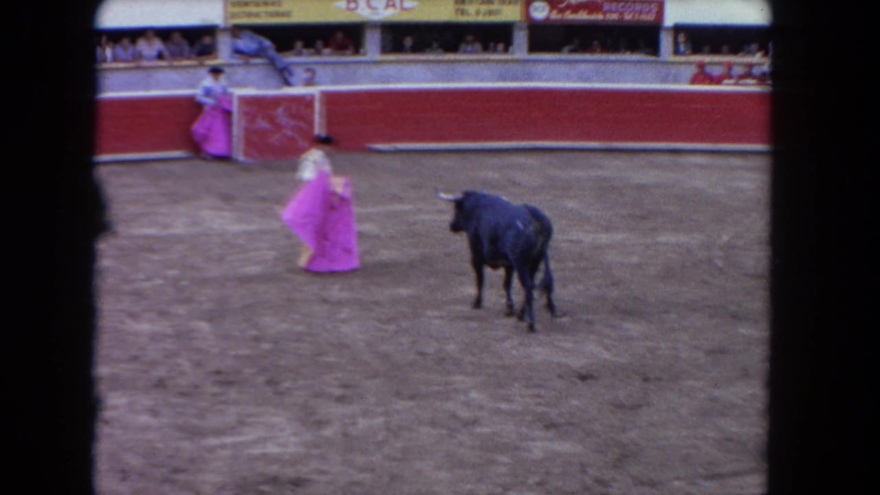 Matador with pink cape faces a black bull in a sandy arena with spectators above red walls.