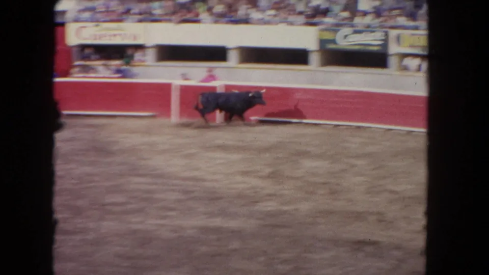 1962 Los Angeles home-movie frame with a bull near the red bullfight arena barrier, spectators in the background, and advertising signs above.