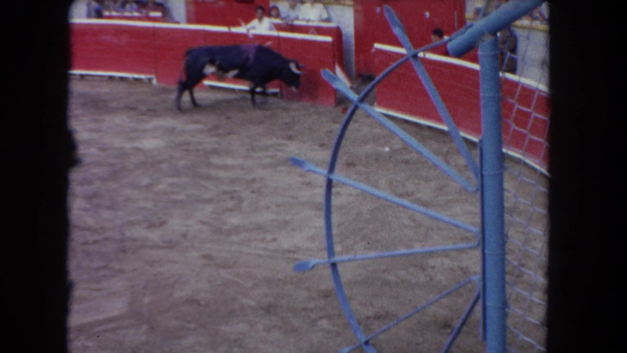1962 Los Angeles 8mm frame showing a dark bull in a sandy ring behind red walls and a blue metal barrier.