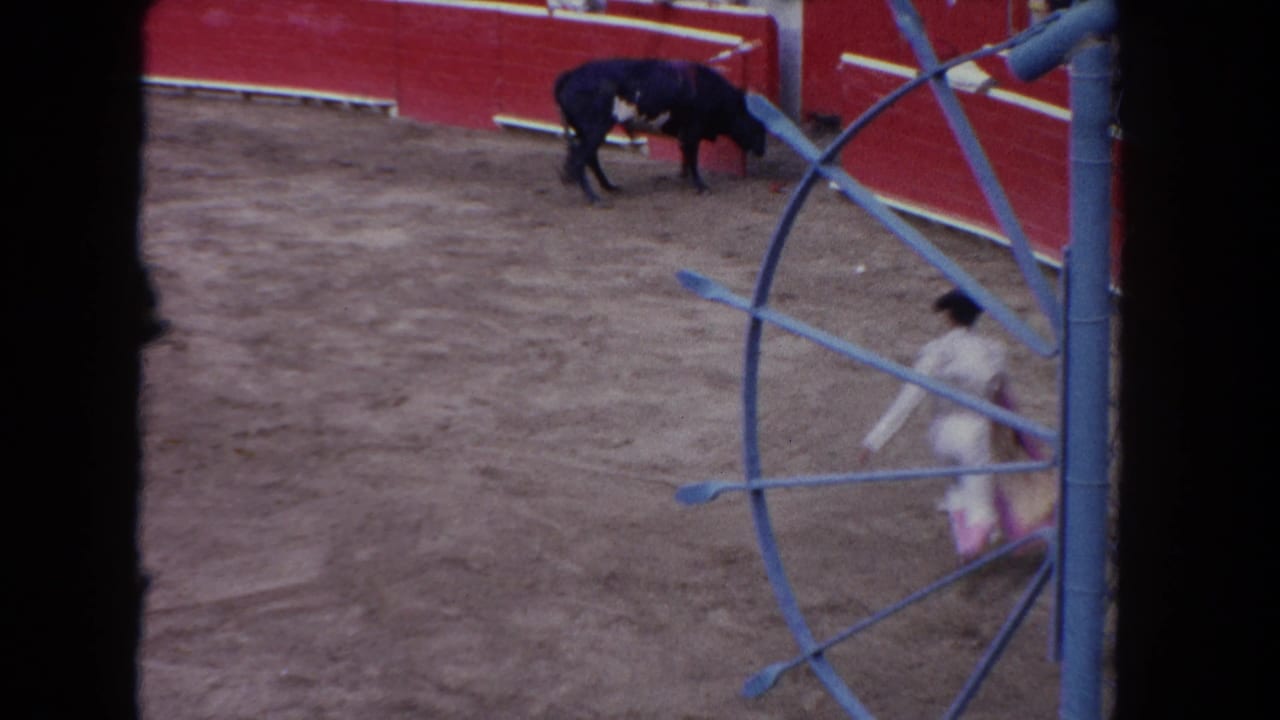 The bull stands near the red wall as a matador in white and pink appears at the edge of the 1962 Los Angeles arena frame.