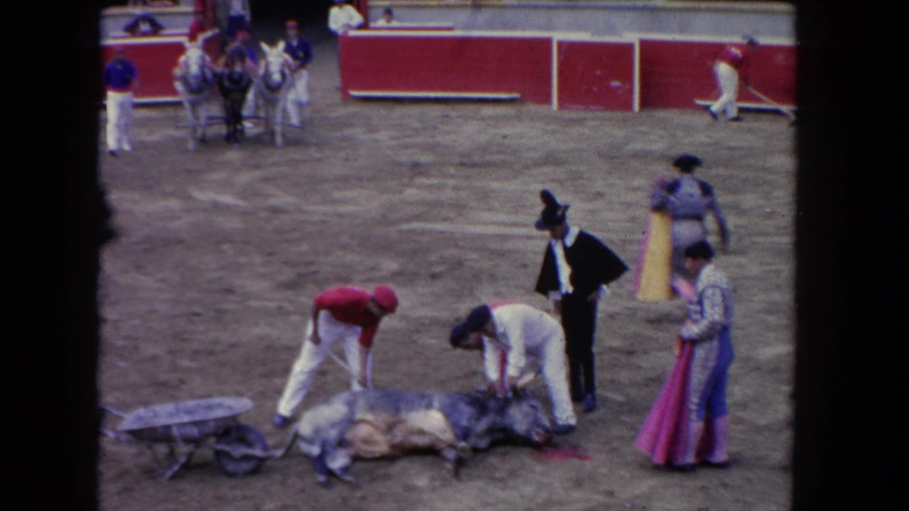 Bull lies on a dirt arena floor while several men in bullfighting attire stand nearby.