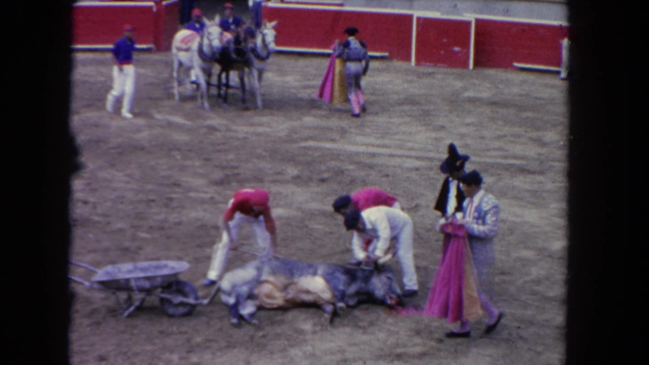 1962 Los Angeles bullring view with men attending to a fallen bull, a pink cape at right, red arena boards, and horses behind them.