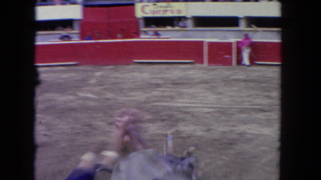 Home-movie view of a Los Angeles arena with red barriers, partial signage, and a blurred bull in the foreground.