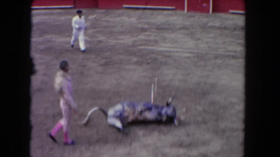 Two matadors in pink and white clothing move toward a collapsed bull in the 1962 Los Angeles arena scene.