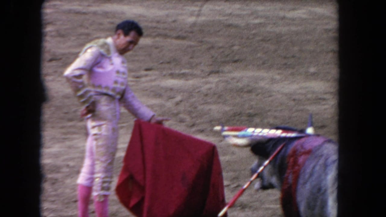 Matador holds a red cloth near a decorated bull in a dusty arena.