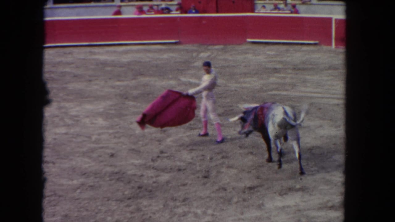 Matador presents a red cape while the bull stands several feet away.