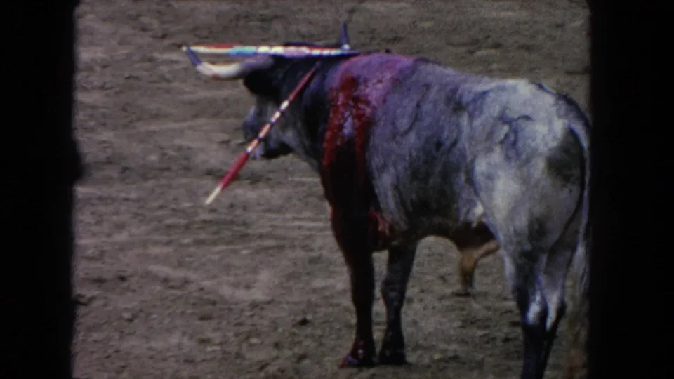 1962 Los Angeles 8mm frame showing the bull bloodied on its back with banderillas visible in the arena.