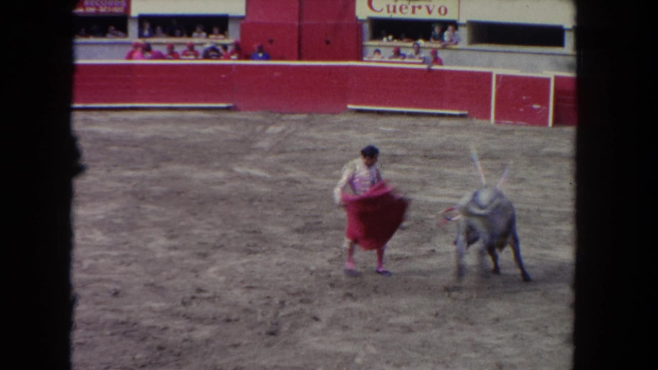 Bull turns toward a matador holding a red cape near the center of the arena.