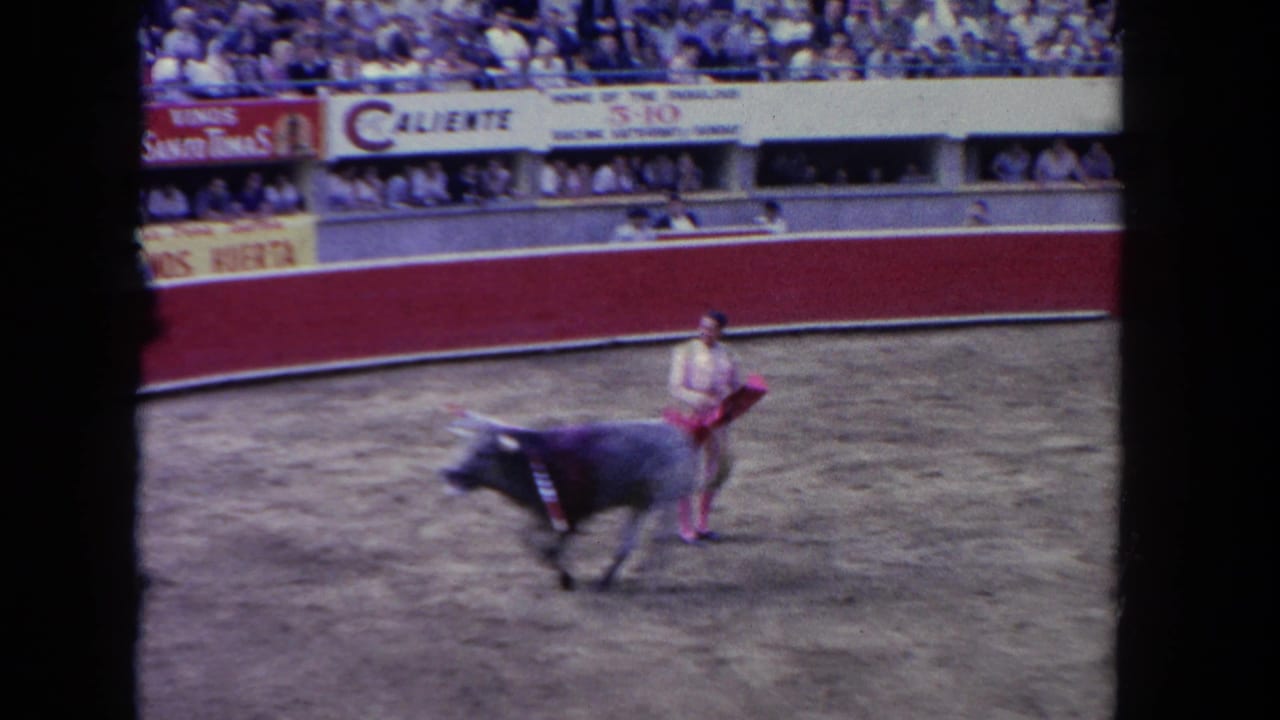 Grey bull runs across a dusty arena as a matador holds a red cloth near the spectator stands.