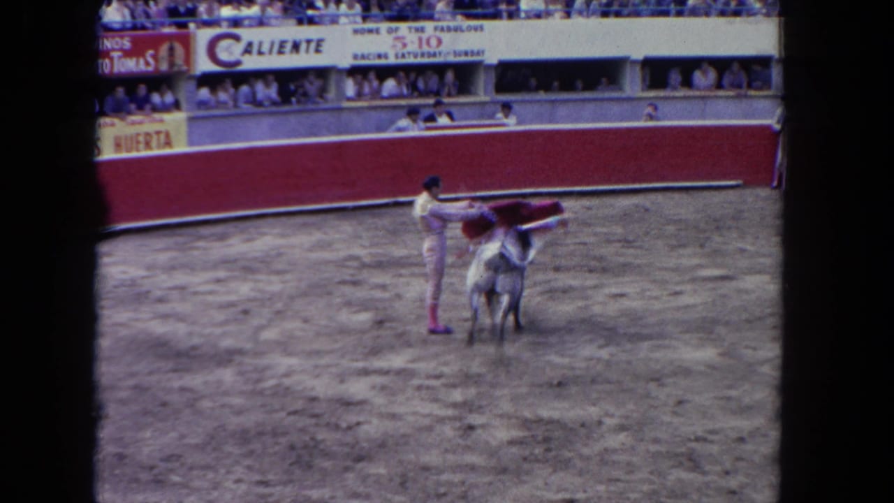Matador extends a cape over the bull in the arena while spectators watch from the stands.