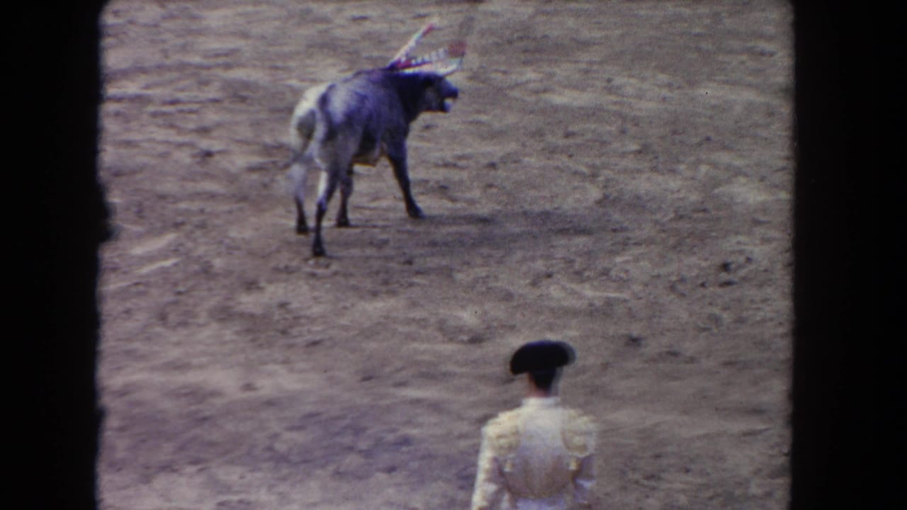 Decorated bull in a dusty arena with a matador seen from behind.