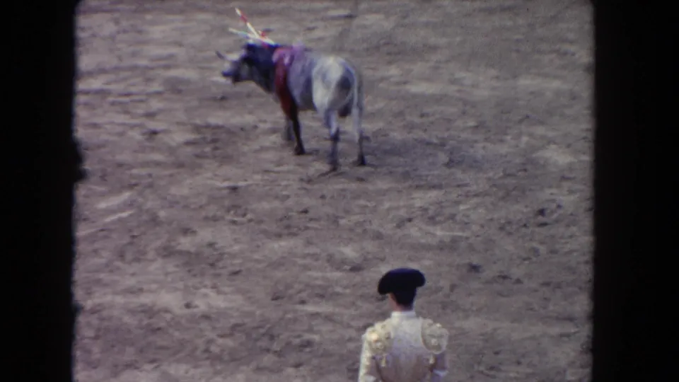 1962 Los Angeles 8mm frame of a bull with banderillas and red covering while a matador stands near the bottom of the ring.