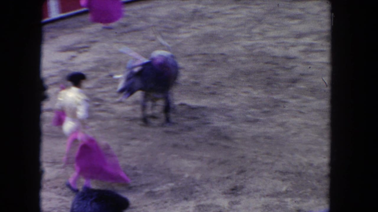 Matador with purple cape faces a bull in a sandy arena.