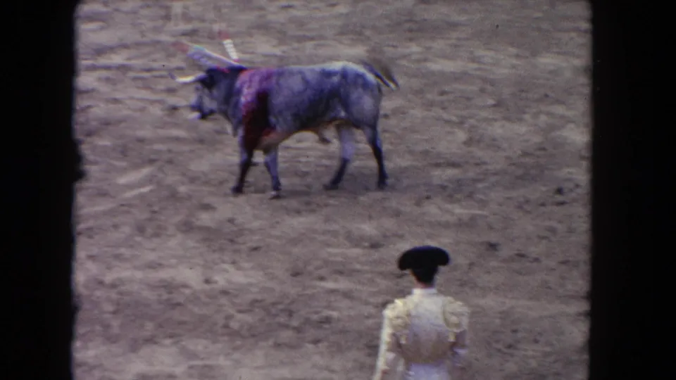The bull moves across the sandy arena with banderillas visible while a matador in a black hat watches from the foreground.