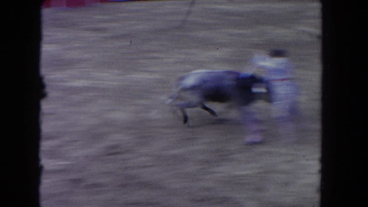 Motion-blurred 1962 Los Angeles 8mm frame of a bull moving fast across the dirt arena beside a light-clothed participant.