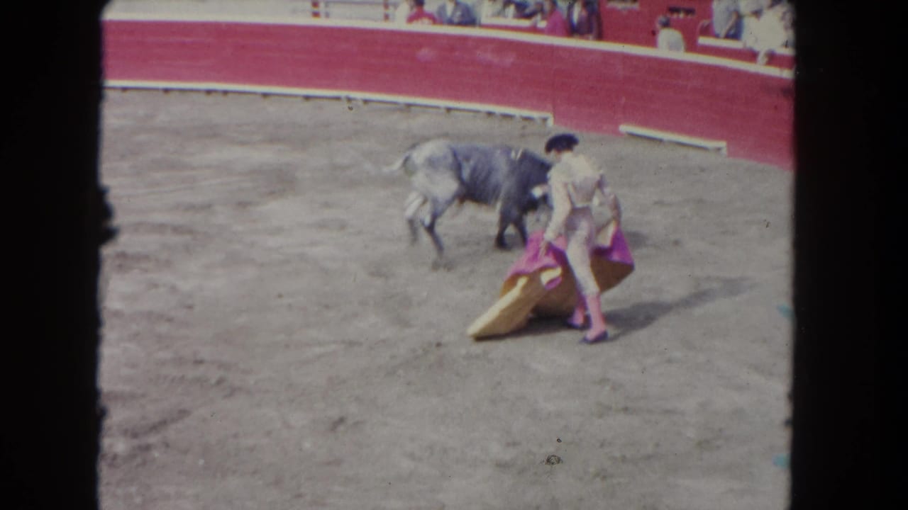 Matador stands near a grey bull with pink and yellow capes on the arena floor.