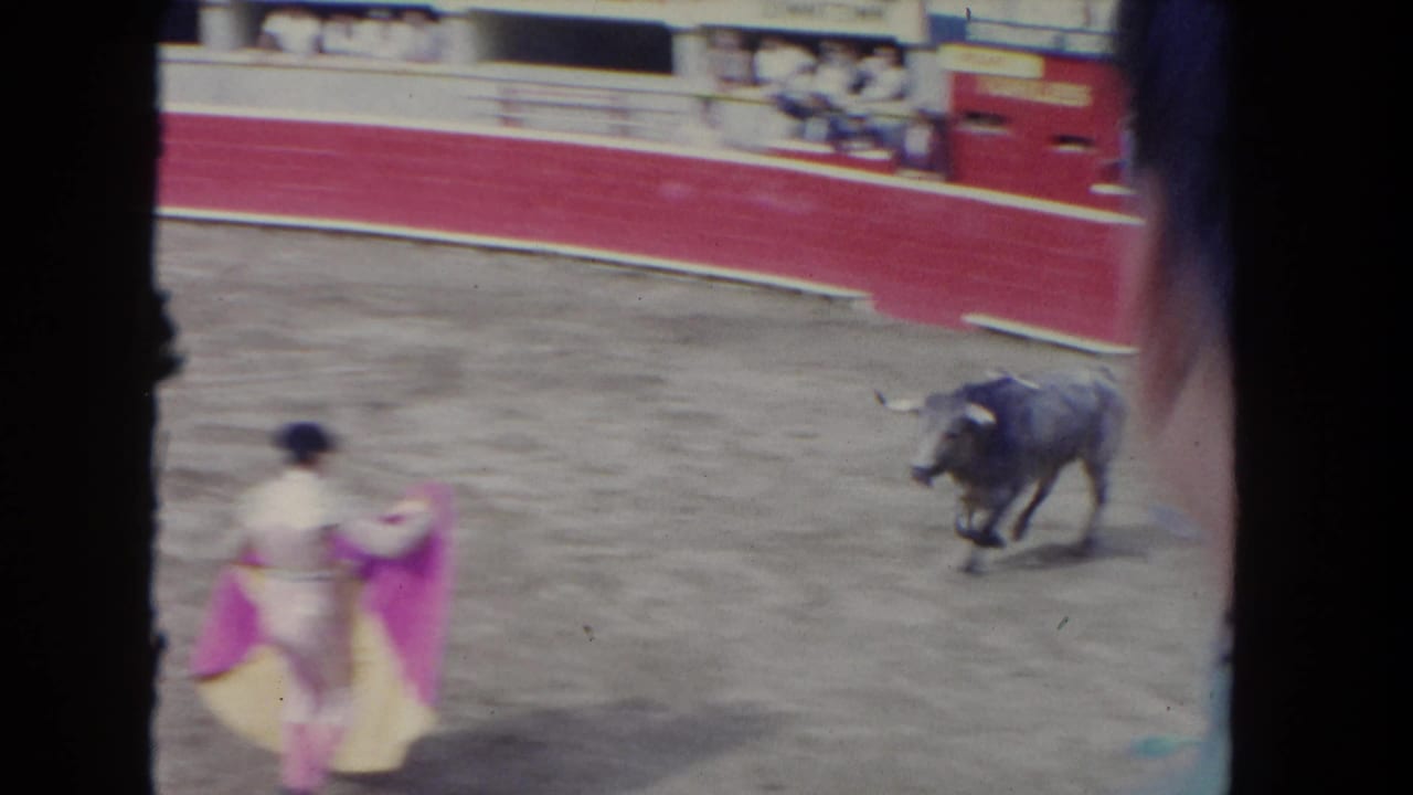 Matador holds a pink and yellow cape as a gray bull moves across a sunlit arena.