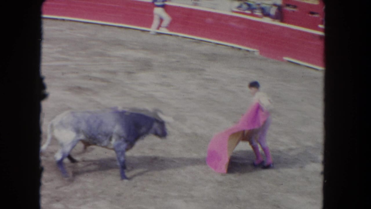 Gray bull walks toward a matador holding a pink cape near the arena wall.