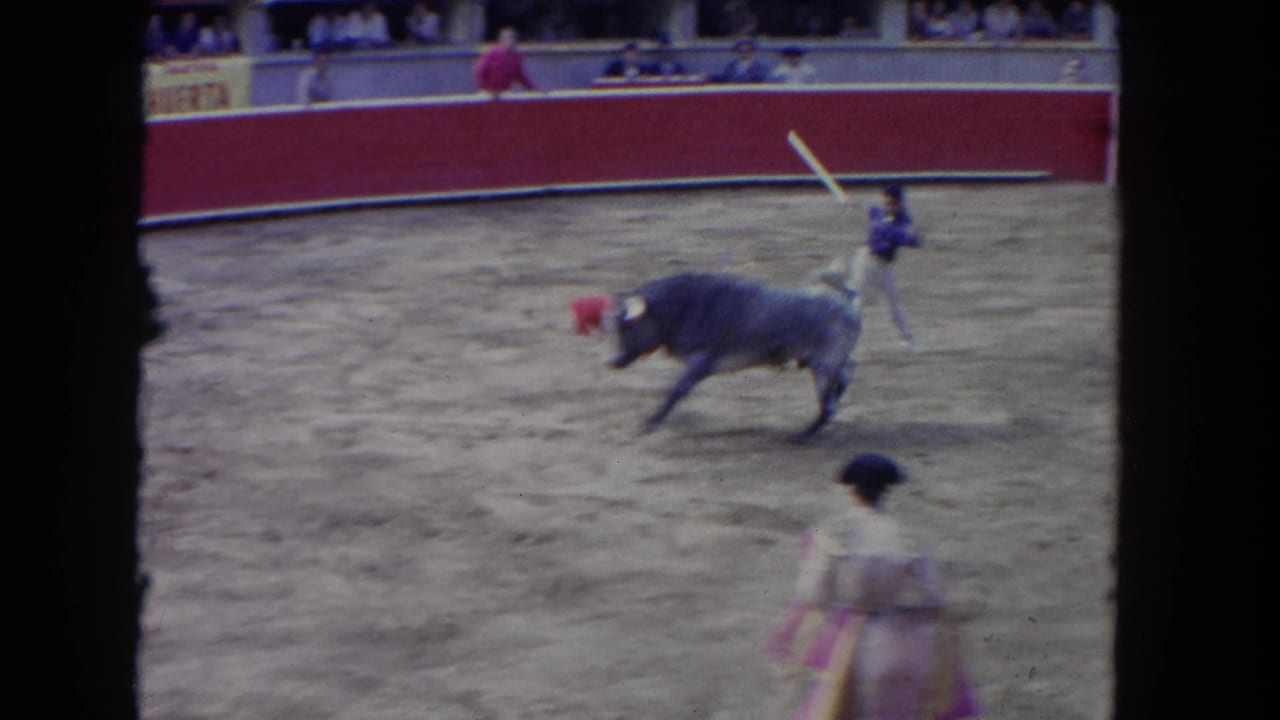 Bull charges across the arena while a bullfighter stands nearby and spectators watch from the stands.