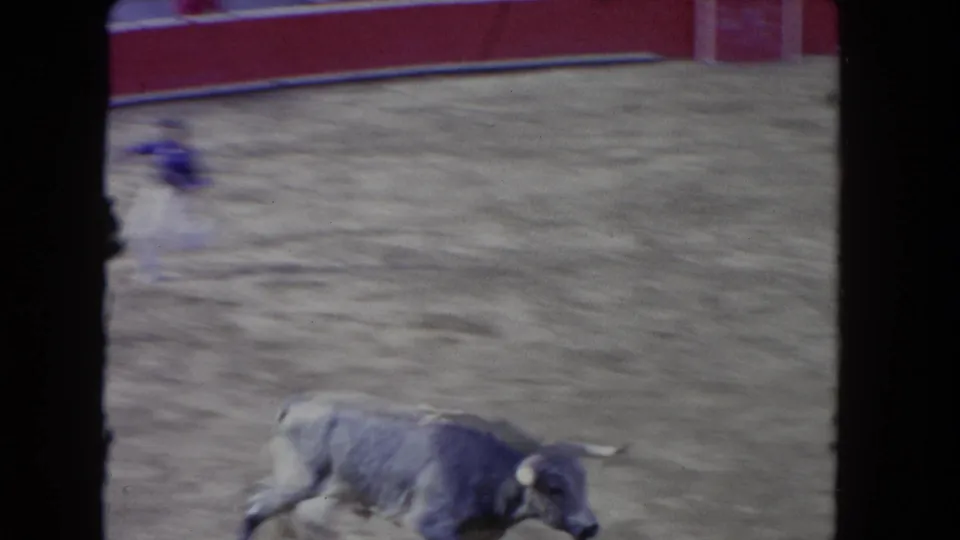 Soft 8mm frame from the 1962 Los Angeles bullfighting scene, with the bull crossing the foreground and a blurred fighter at left.
