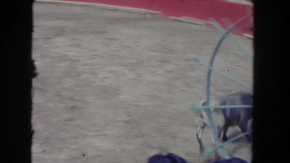 1962 Los Angeles home-movie frame showing a partial bull at the lower right of the arena beside blue barrier markings and red wall sections.