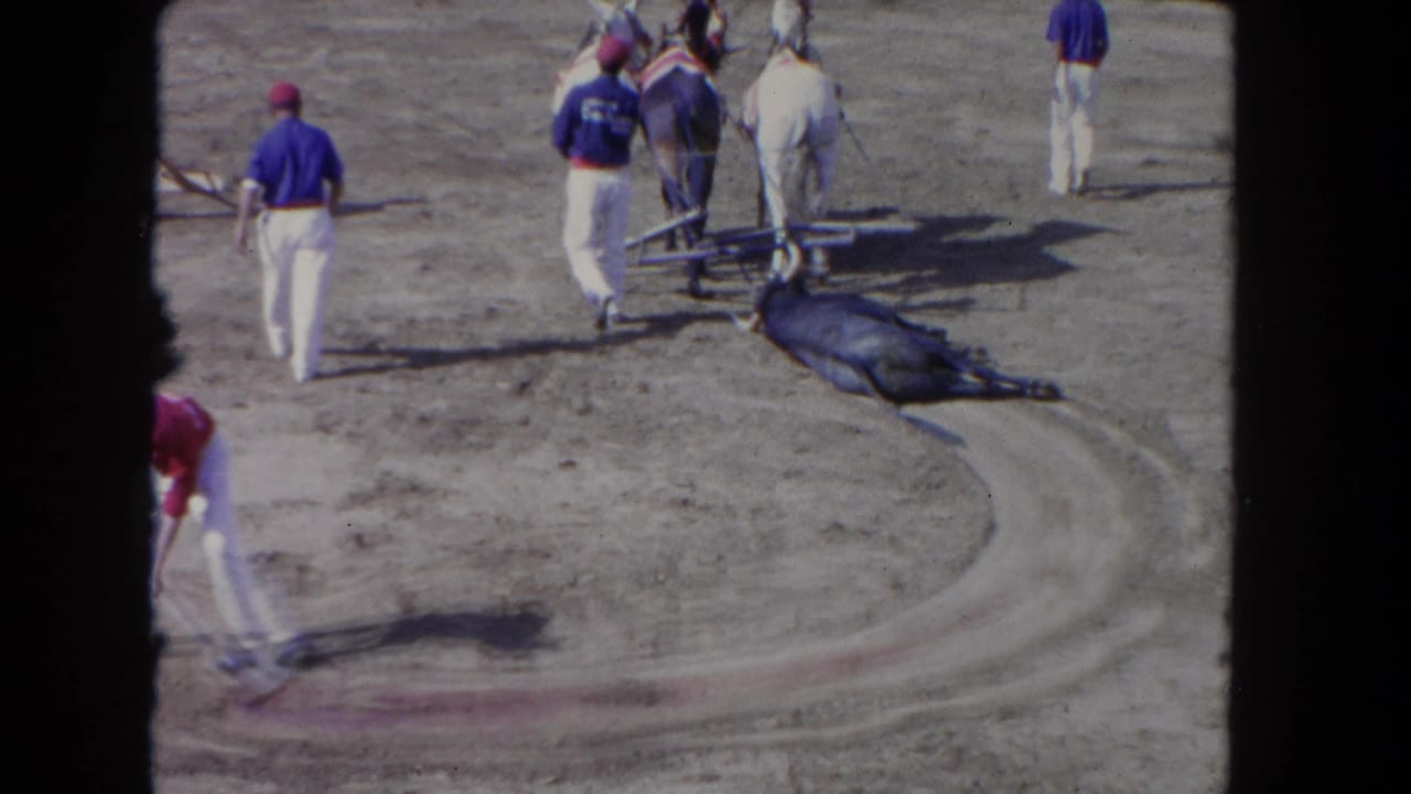 Workers walk around a fallen horse as a team of horses and cart stand on the arena dirt.