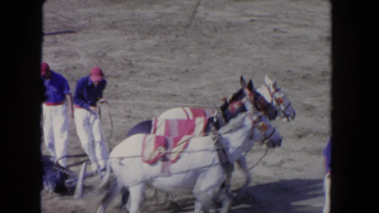 1962 Los Angeles 8mm frame with wranglers holding reins as several horses in striped blankets move through a dusty area.