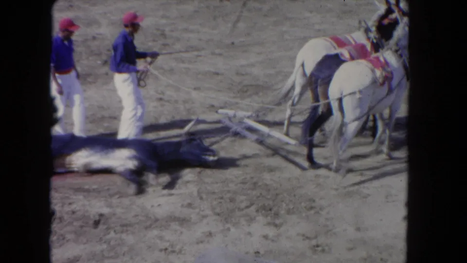 1962 Los Angeles 8mm frame showing wranglers managing reins beside harnessed horses, with a dead animal visible at lower left.