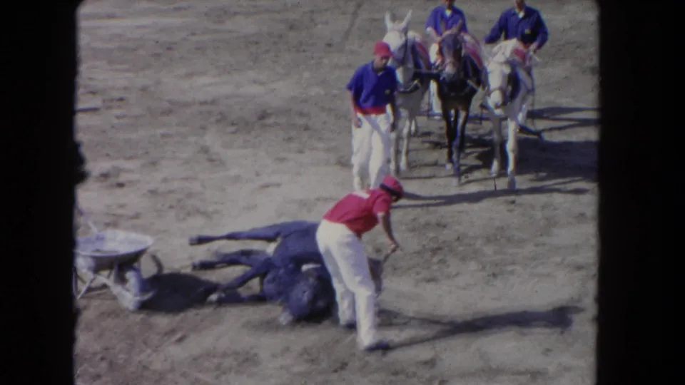 1962 Los Angeles 8mm frame showing a man tending to a dark animal on dusty ground as riders on decorated horses observe.