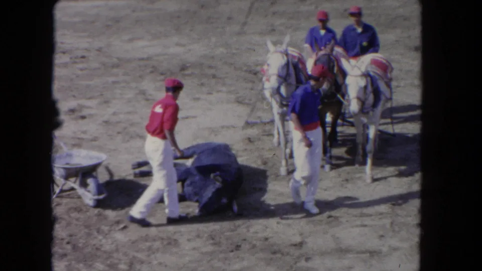 1962 Los Angeles home-movie frame with men in red and blue shirts near a prone dark animal and decorated horses.