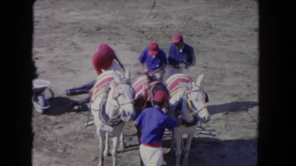 1962 Los Angeles home-movie frame with decorated horses in the foreground and men attending to a dark animal behind them.