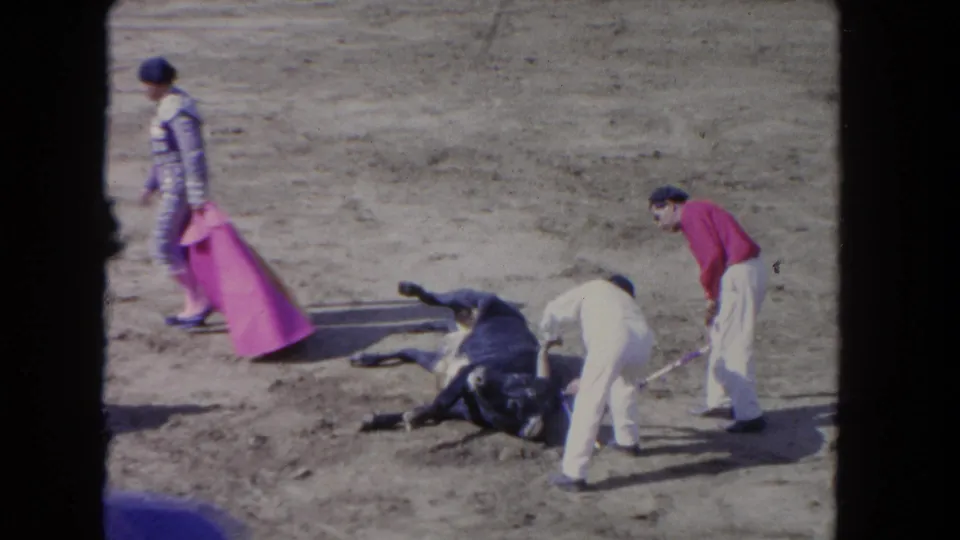1962 Los Angeles 8mm frame with a bull down in the arena while handlers move in with poles and a cape.