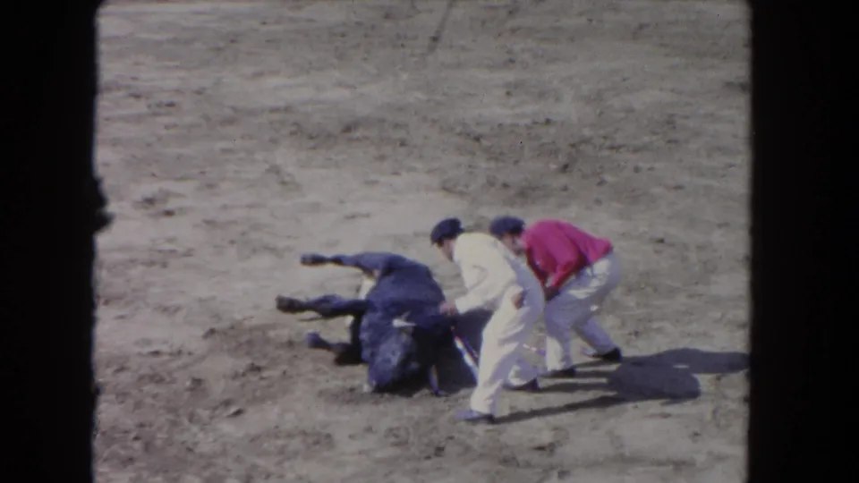 1962 Los Angeles 8mm frame showing men clustered over a bull lying in the arena, apparently working to move or lift it.