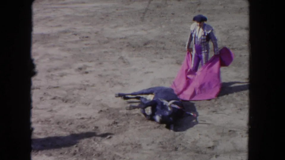 1962 Los Angeles 8mm frame showing the bull down on the arena floor beside the matador and pink cape.