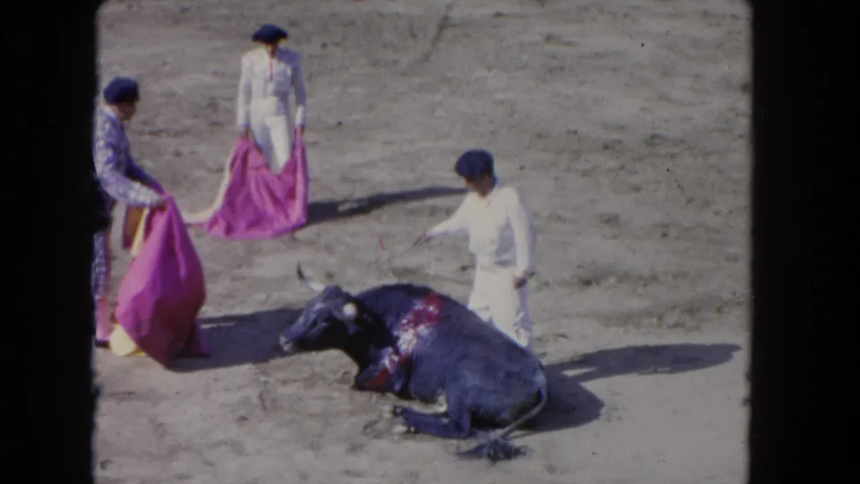 1962 Los Angeles 8mm frame with multiple participants, pink capes, and an injured bull lying on sandy arena ground.