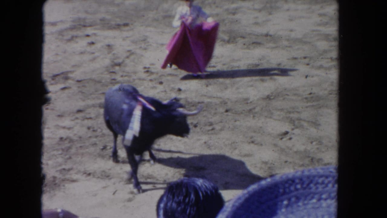 Black bull stands in the arena while a matador with a cape waits at a distance.