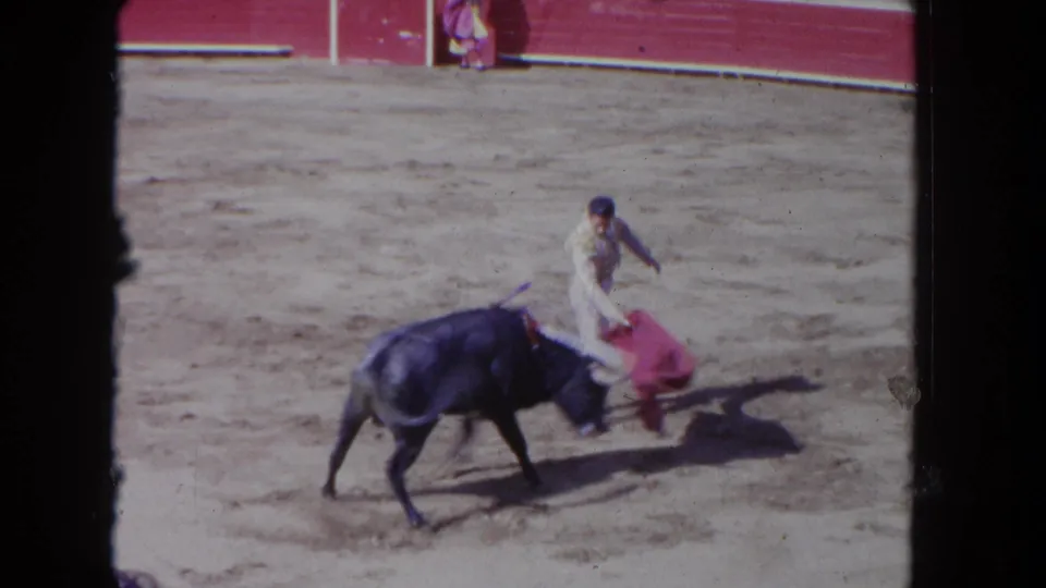 A dark bull moves past a matador-style performer with a red cape during a 1962 Los Angeles arena event.