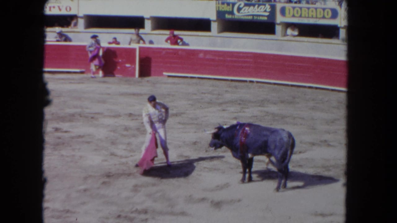 The matador presents a pink cape toward an approaching bull in the sandy ring, with spectators and arena advertising visible above the barrier.