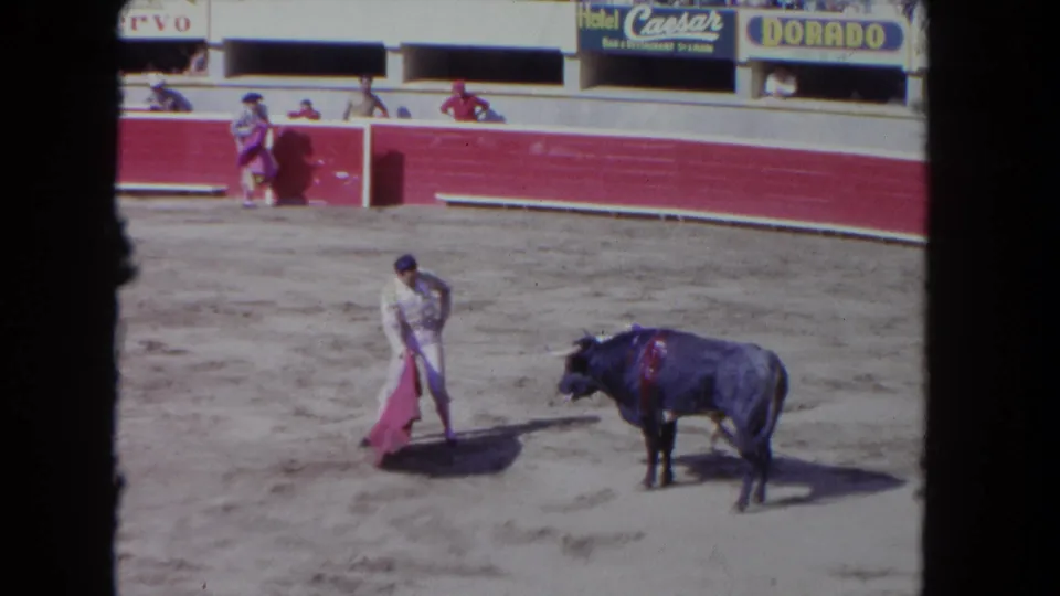 The matador presents a pink cape toward an approaching bull in the sandy ring, with spectators and arena advertising visible above the barrier.