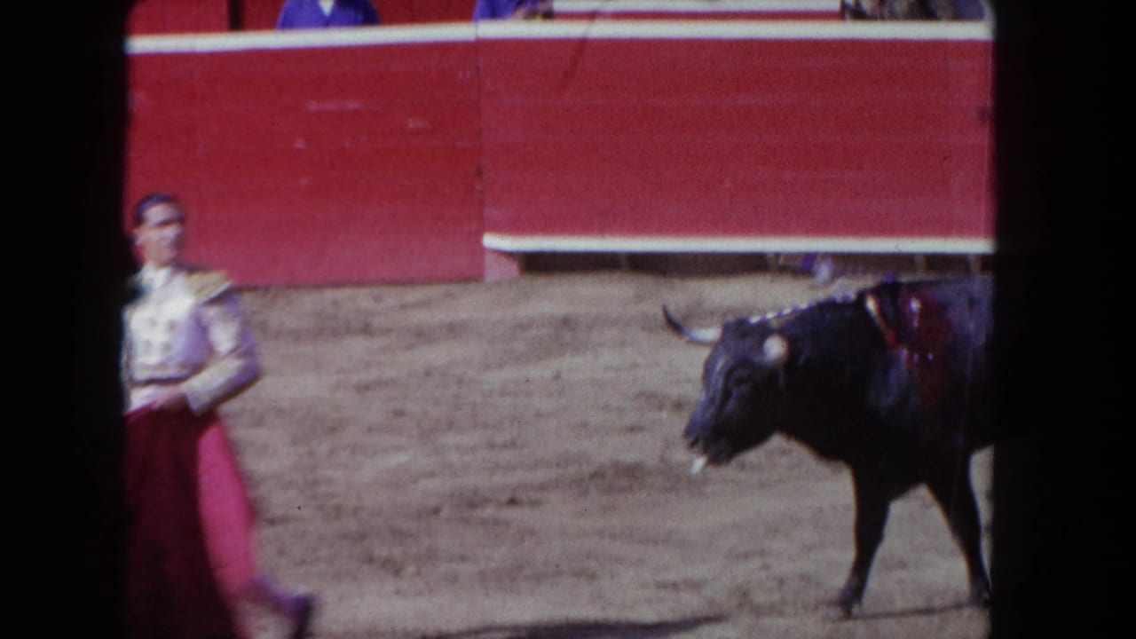 1962 Los Angeles arena view with a matador holding a cape opposite a black bull near the red barrier.