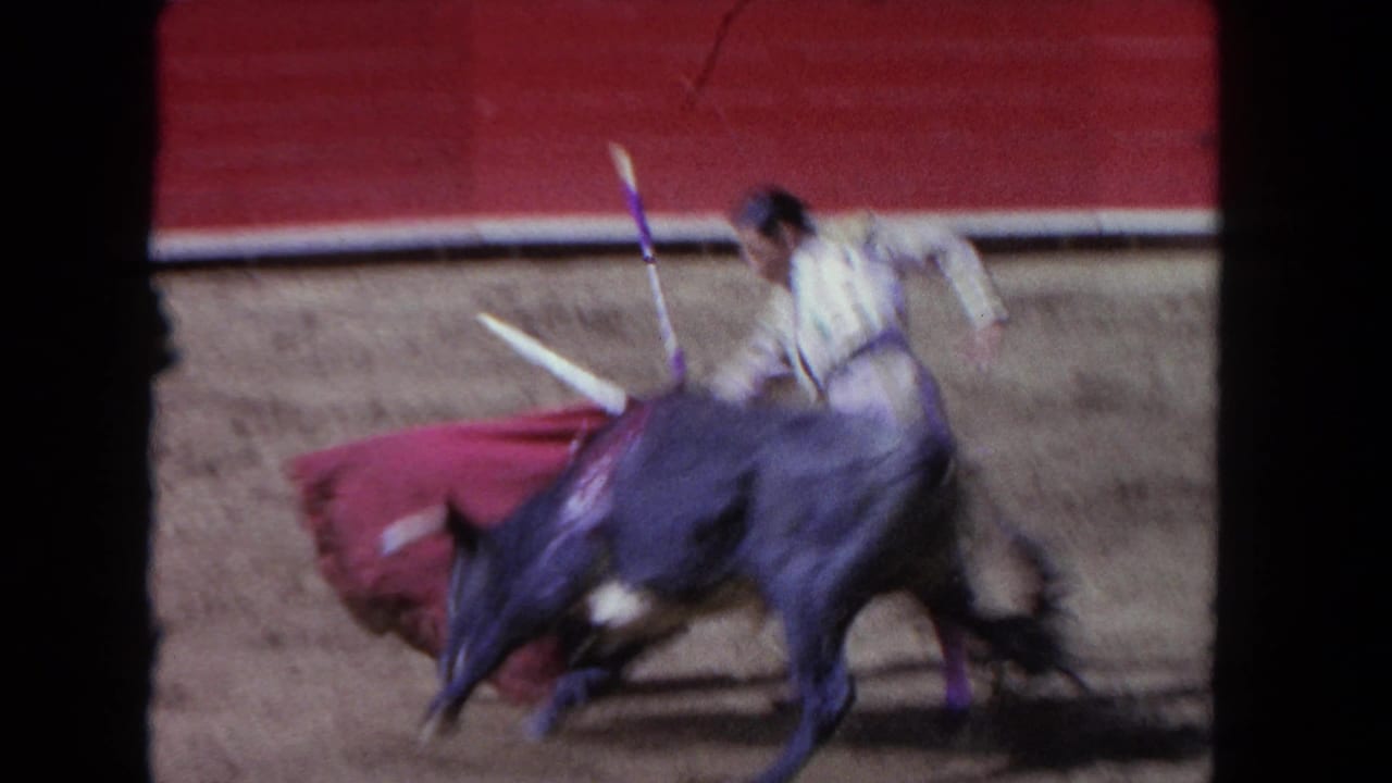 Bull charges past the matador as the red cape swings across the arena.