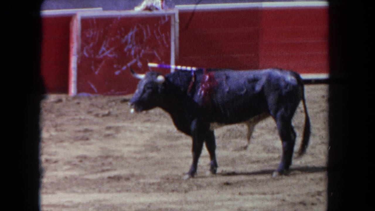 The bull remains in profile on the sandy arena floor, with red wooden barriers visible in the supplied Los Angeles 1962 setting.