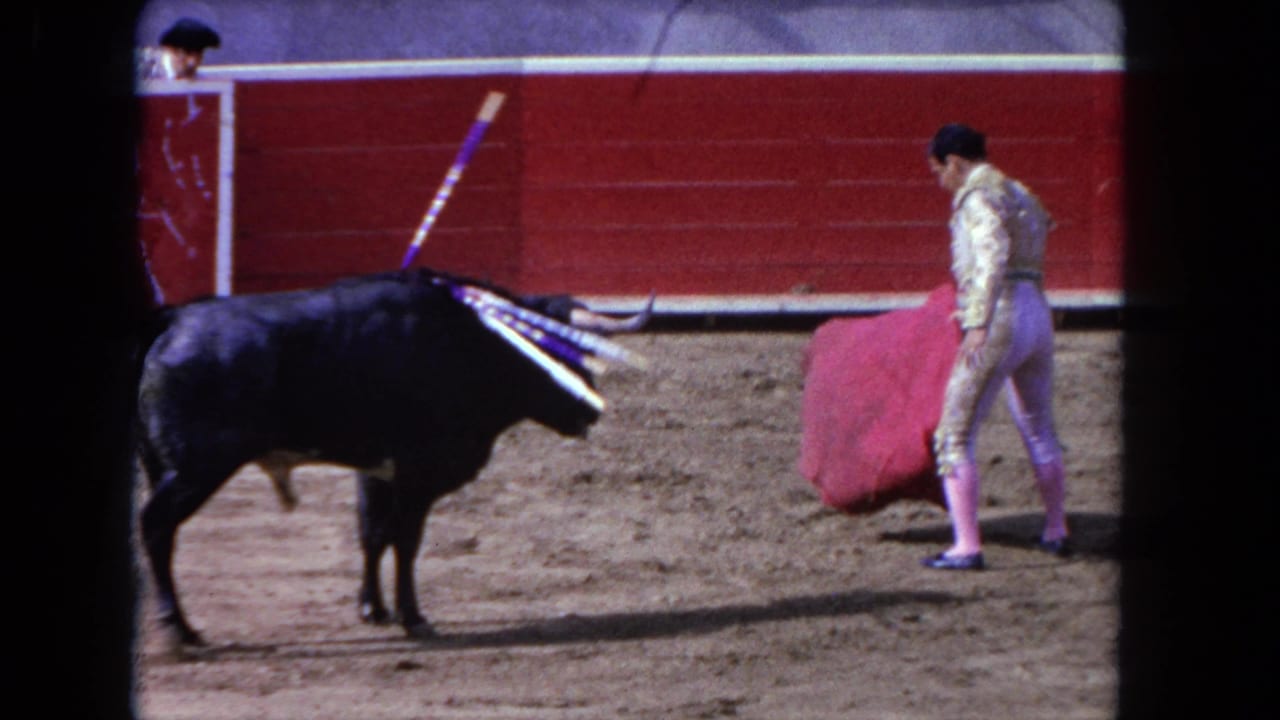 Black bull faces a matador holding a red cape beside the arena barrier.