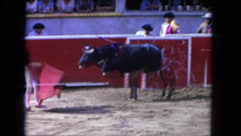 The matador moves the cape in front of a black bull, with red boards and seated spectators visible in the arena background.