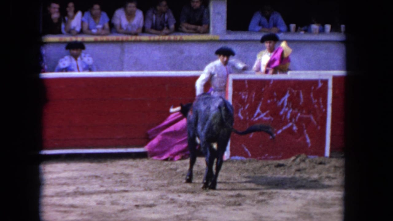 A black bull charges toward a low pink cape in the arena while a matador and spectators remain visible near the red barrier.