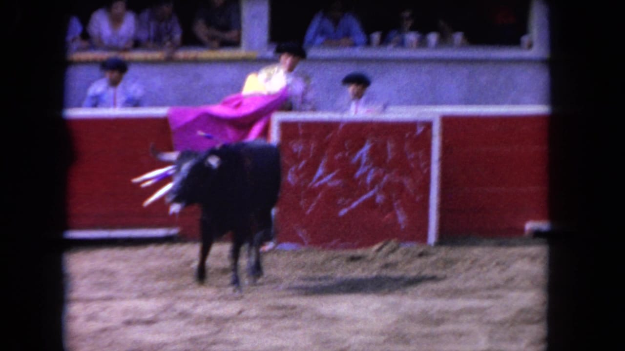 Bull faces a red barrier while a cape is held above the arena wall.