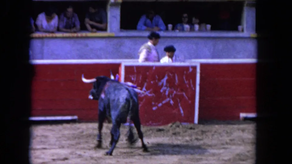 The bull turns near the red boards of the arena while spectators watch from behind the rail in the 1962 Los Angeles footage.